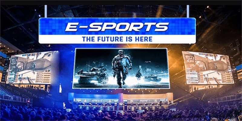 Hướng Dẫn Cá Cược Trong Sảnh Cá Cược Esport Max88